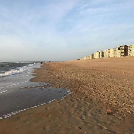 In Near Sea Dike