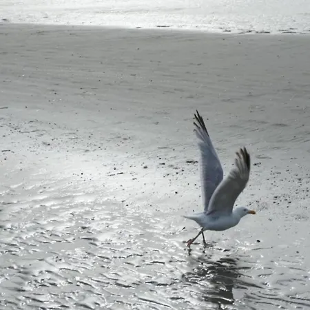 In Near Sea Dike Apartment *