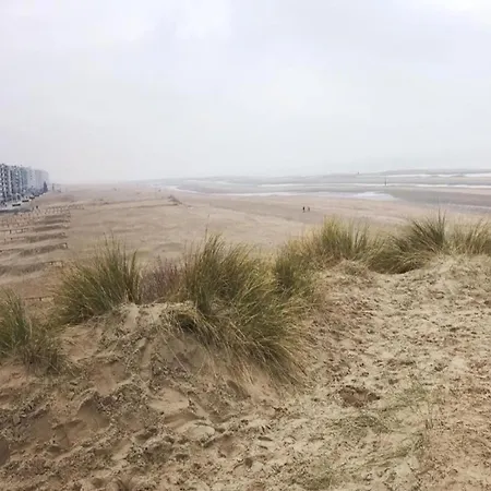 In Near Sea Dike Apartment