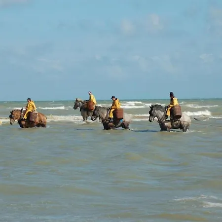 In Near Sea Dike 公寓 科克赛德
