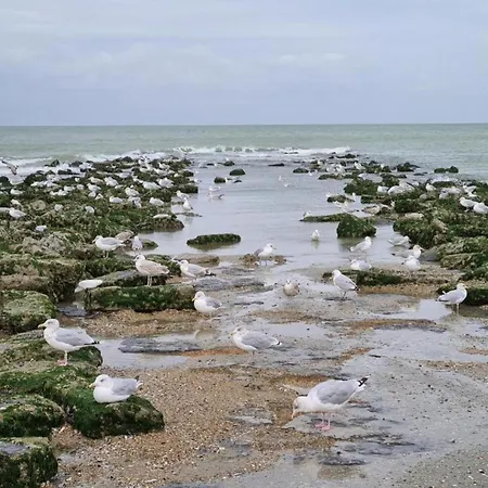 In Near Sea Dike Apartment